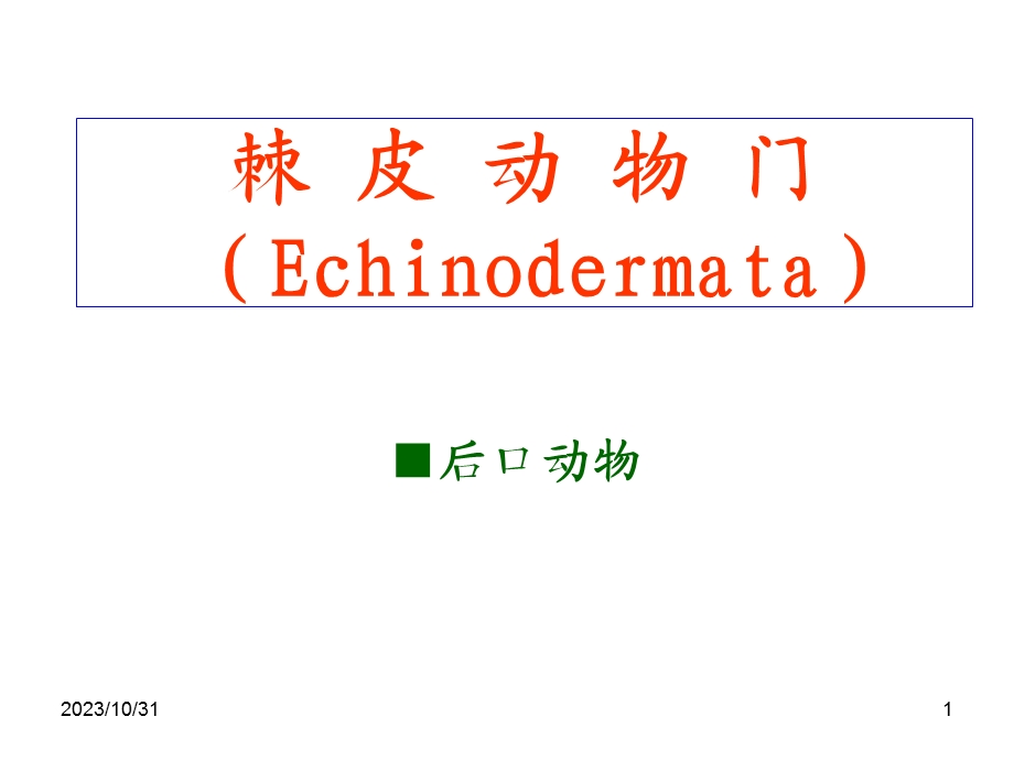 棘皮动物门(好).ppt_第1页