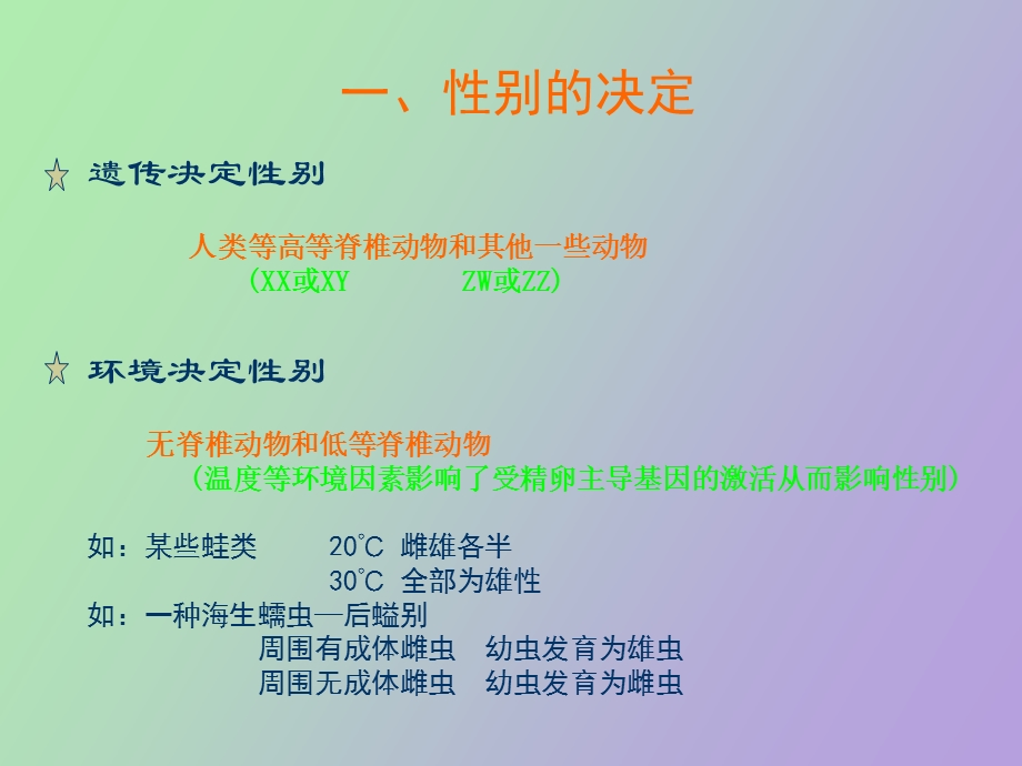 雄性动物生殖生理.ppt_第2页