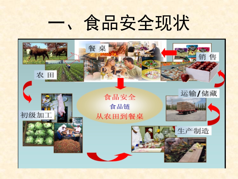 学校食堂食品安全培训课件PPT.ppt_第3页