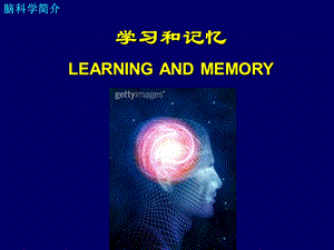 学习和记忆-脑科学简介.ppt