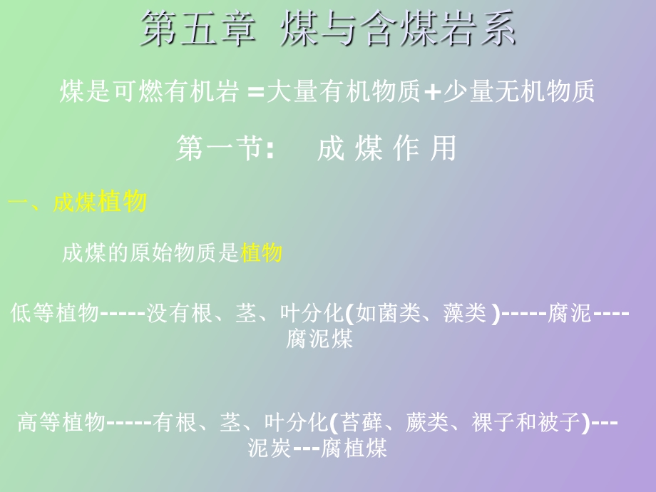 煤与含煤岩系.ppt_第1页