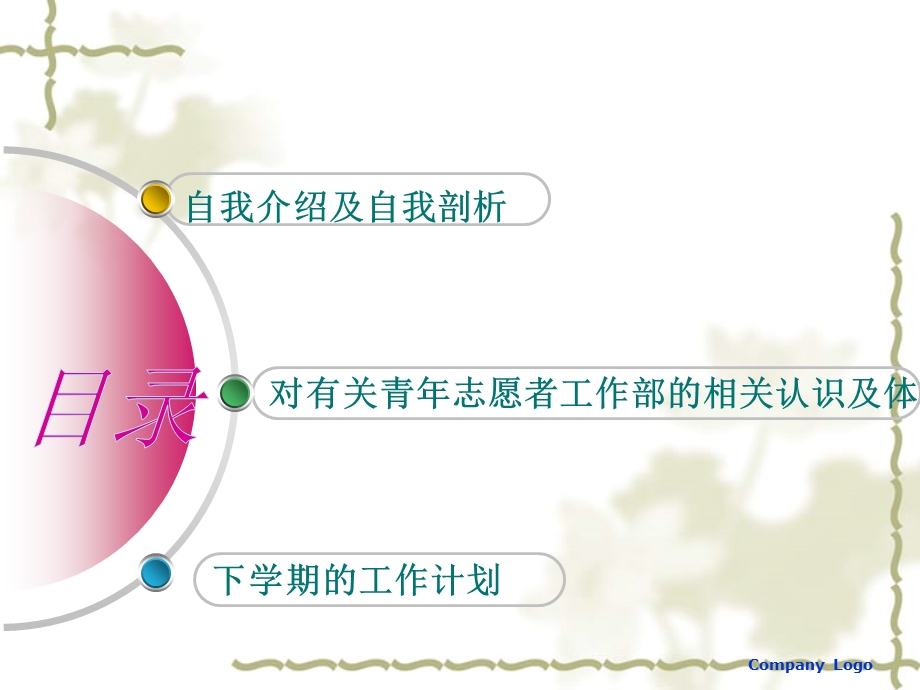 青年志愿者换届竞选.ppt_第2页