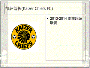 南非足球协会俱乐部.ppt