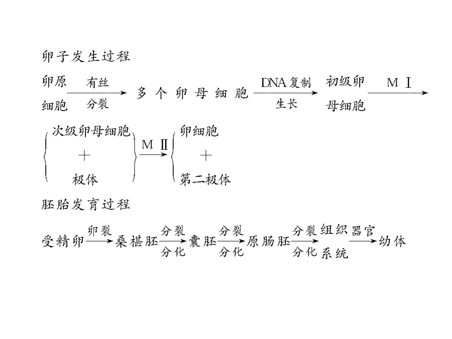 学案胚胎工程与生物技术的安全性和伦理问题.ppt_第3页