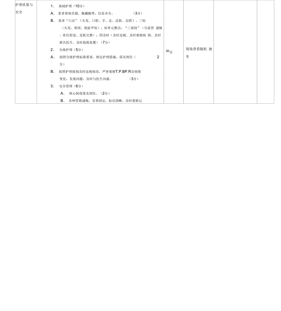 护理质量检查表模版.docx_第2页