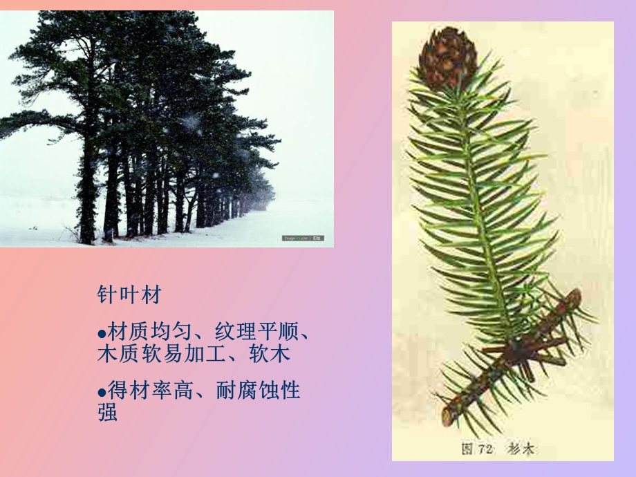 木质装饰材料.ppt_第3页