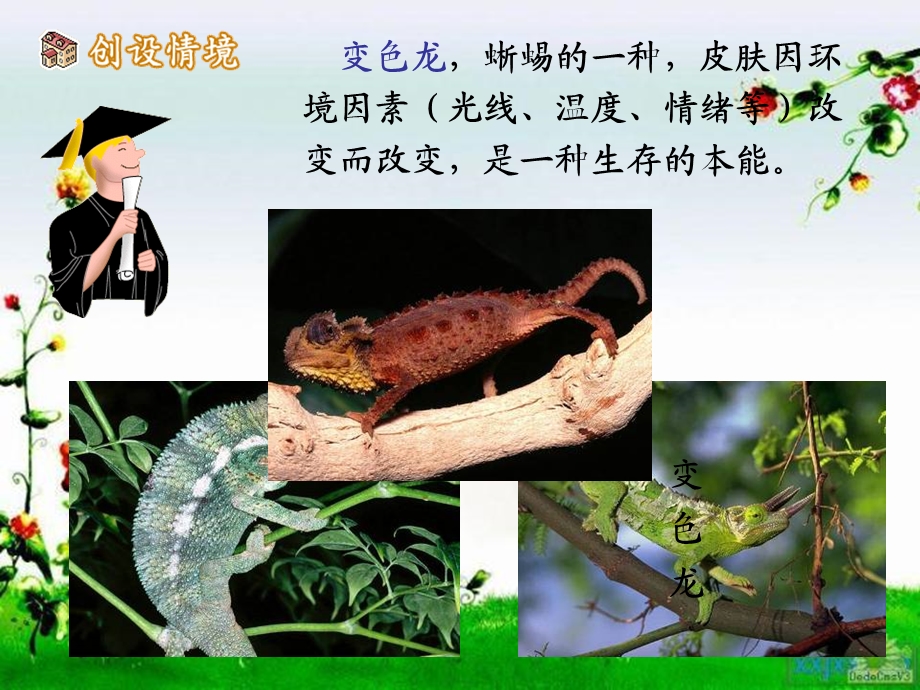 契诃夫《变色龙》ppt.ppt_第2页