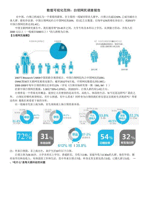 数据可视化范例：白领网民调查报告.docx