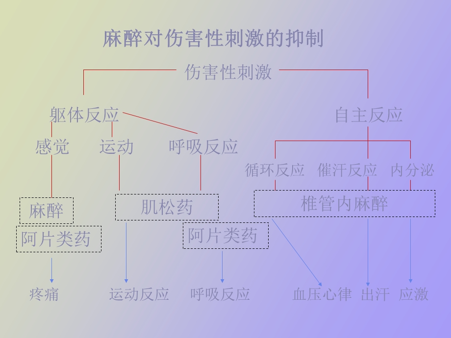 麻醉深度监测.ppt_第3页