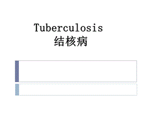 病理学-结核病.ppt