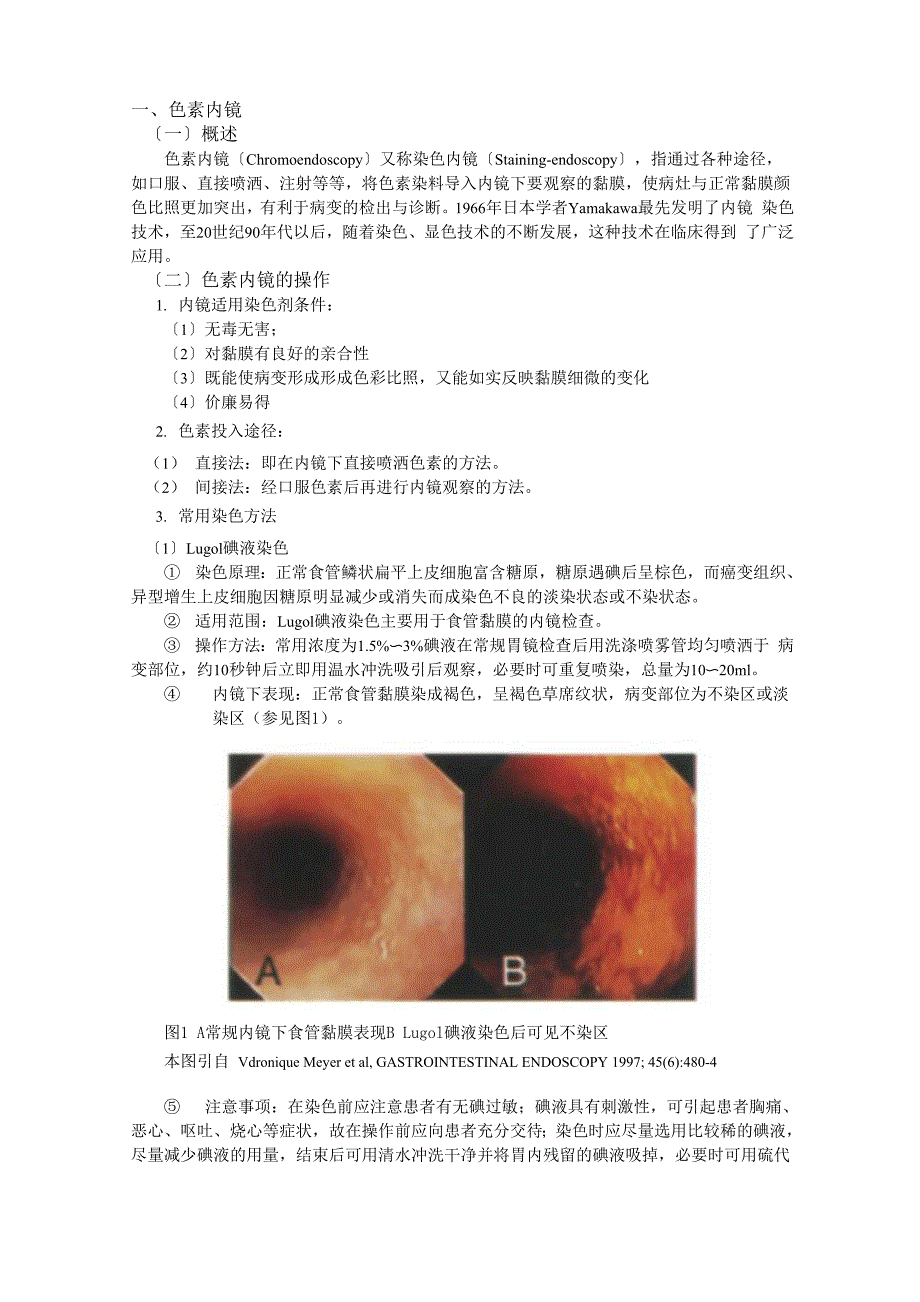 放大内镜、色素内镜.docx_第1页