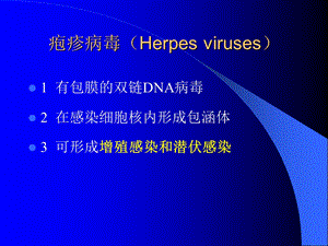 疱疹病毒Herpesviru.ppt