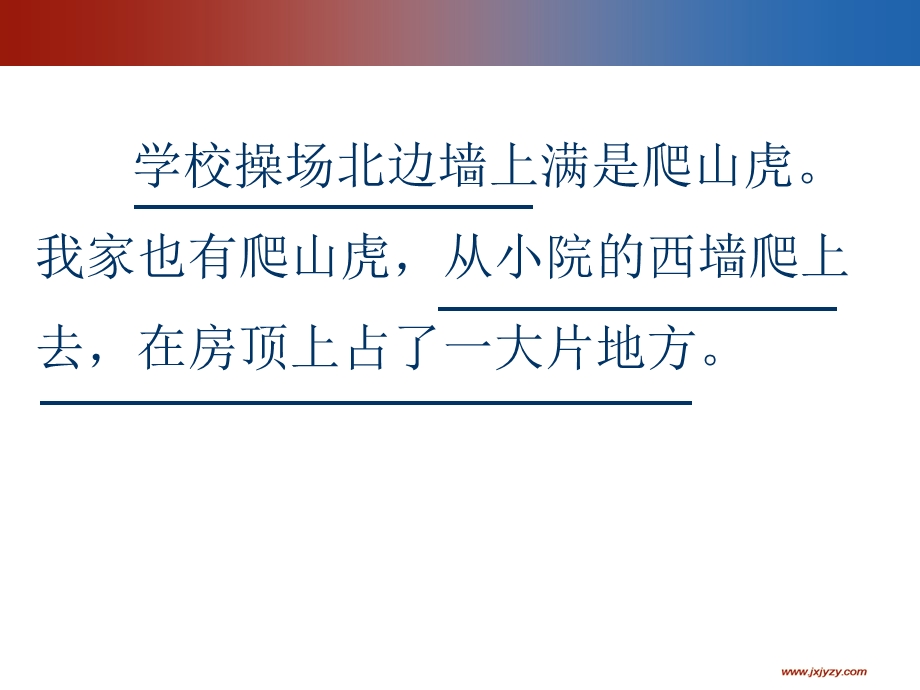 爬山虎的脚-第一课时.ppt_第2页