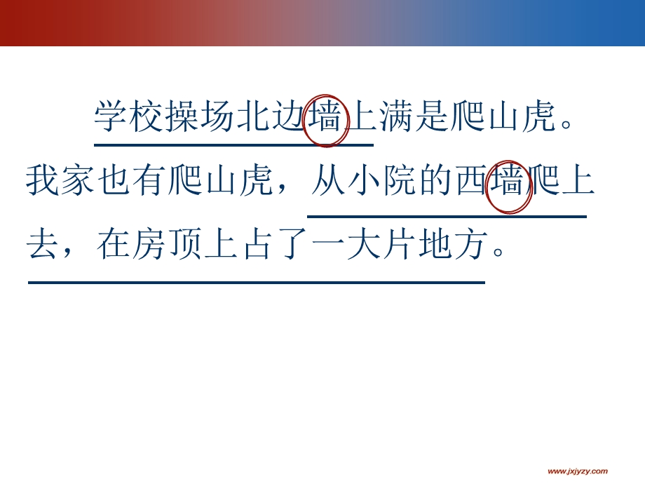 爬山虎的脚-第一课时.ppt_第3页