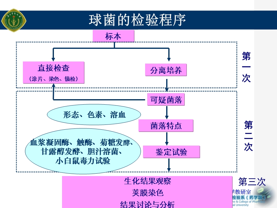 实验三-球菌的培养和鉴定-I.ppt_第3页