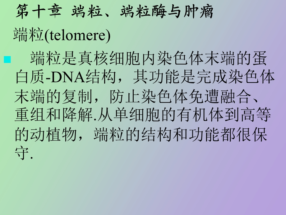 端粒、端粒酶与肿瘤.ppt_第2页