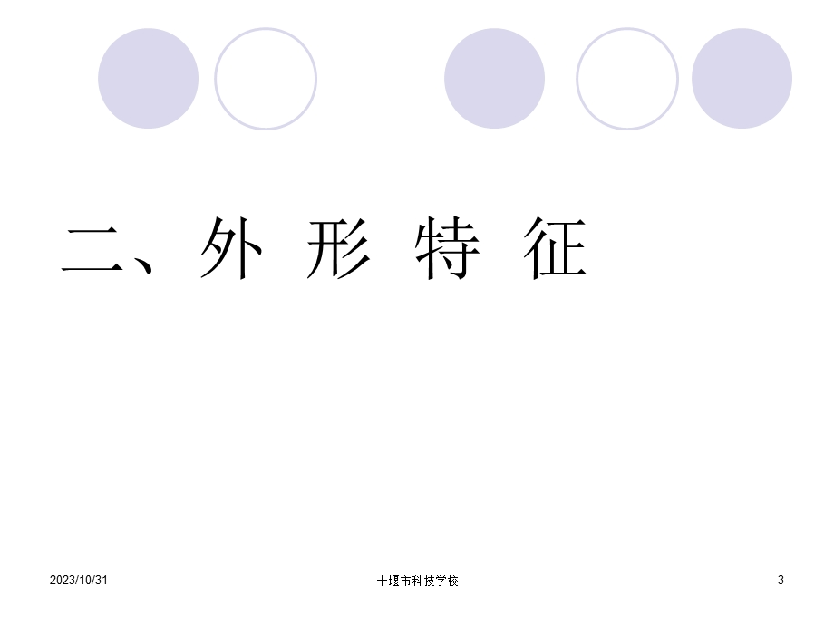 黑水虻养殖技术.ppt_第3页