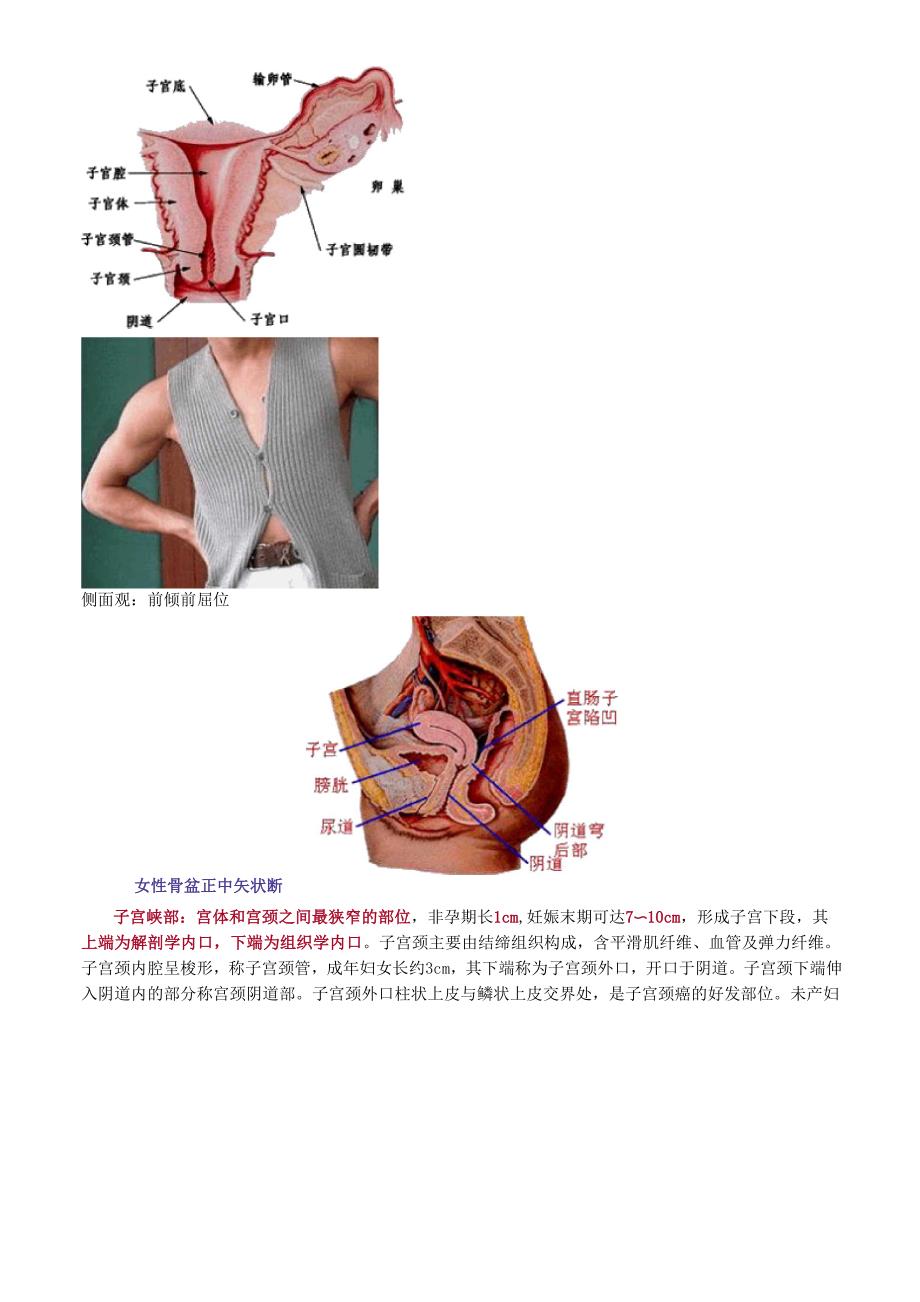 护师考试辅导：妇科护理学.docx_第3页