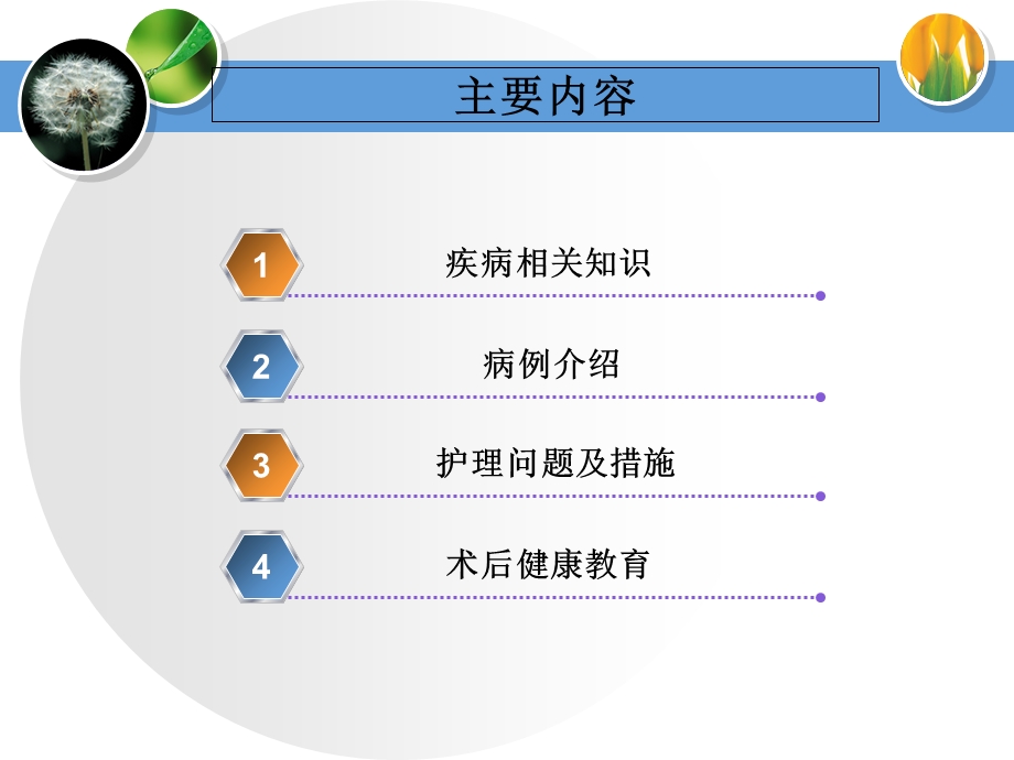 慢性扁桃体炎护理查房1.ppt_第3页