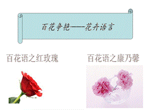 玫瑰、康乃馨(花语)新.ppt