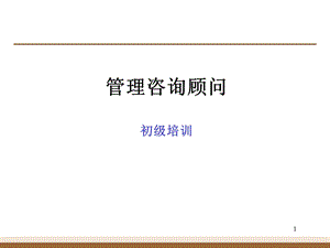 麦肯锡管理咨询顾问初级培训.ppt