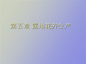 露地花卉生产.ppt