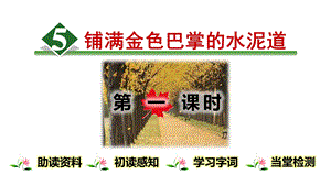 铺满金色巴掌的水泥道..ppt