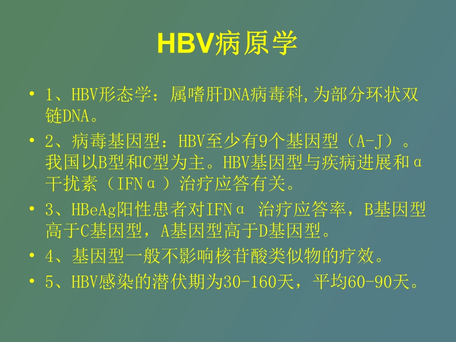 慢乙肝抗病毒治疗.ppt_第2页