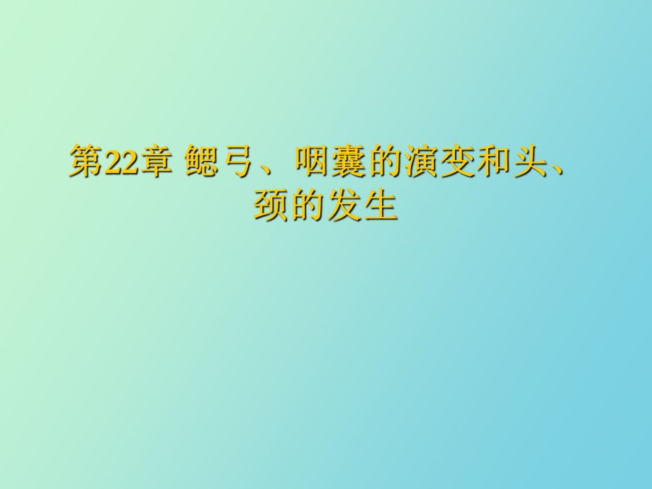 鳃弓、咽囊的演变和头、颈的发生.ppt_第1页