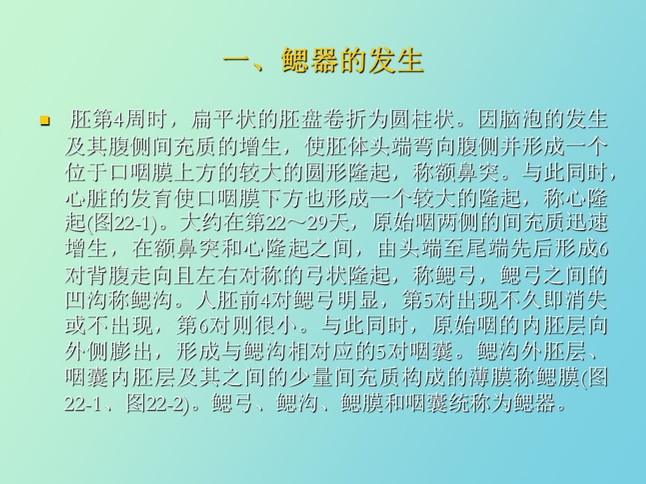 鳃弓、咽囊的演变和头、颈的发生.ppt_第2页