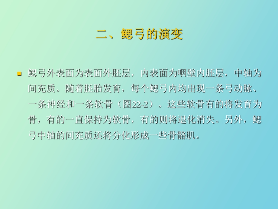 鳃弓、咽囊的演变和头、颈的发生.ppt_第3页