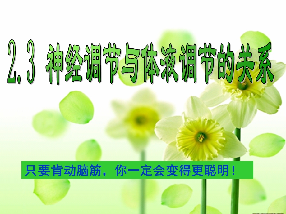 讲课-神经调节和激素调节的关系.ppt_第2页