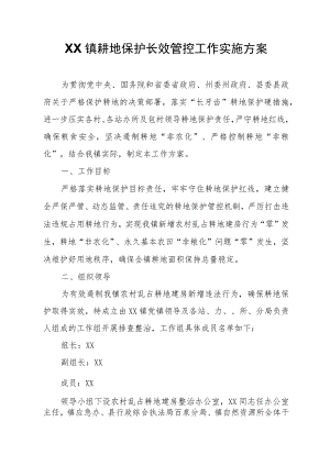 XX镇耕地保护长效管控工作实施方案.docx