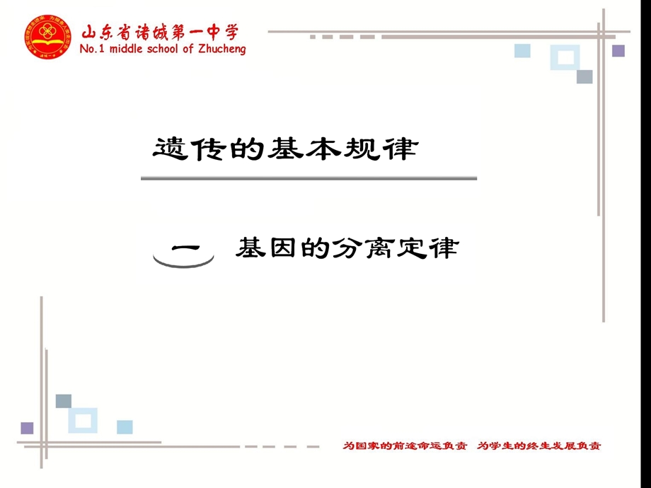 轮复习基因的分离定律.ppt_第1页