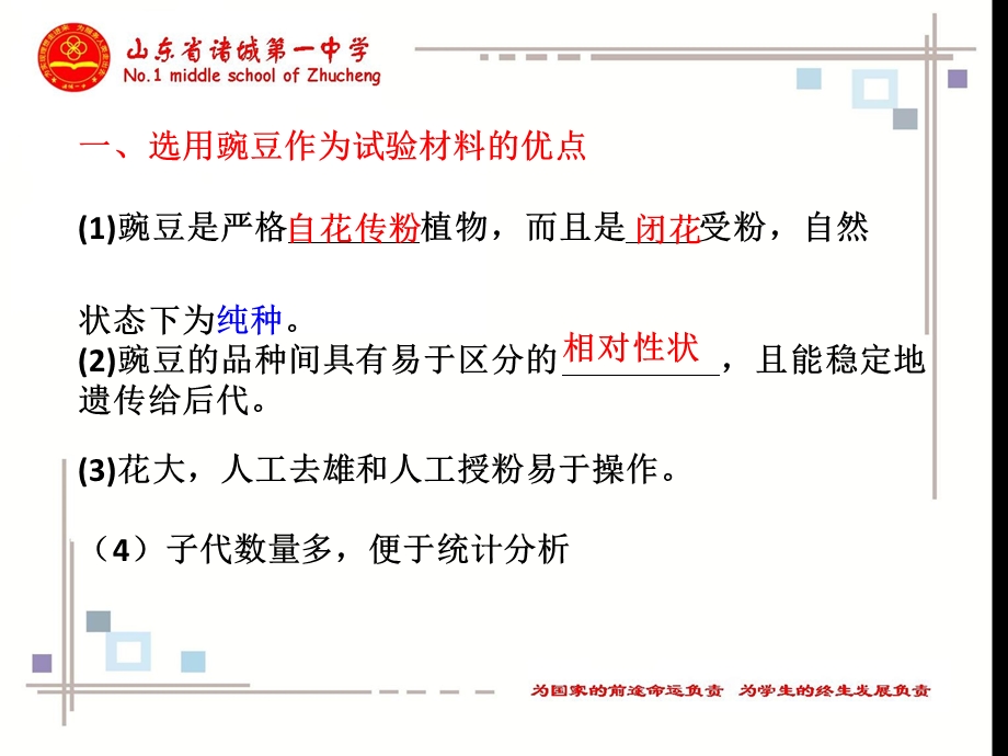 轮复习基因的分离定律.ppt_第3页