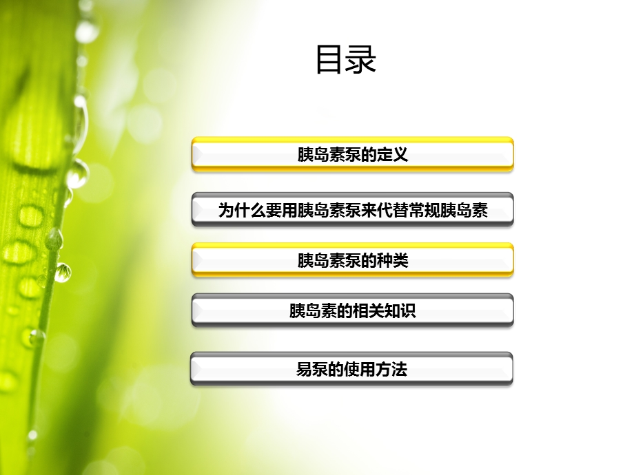 美敦力胰岛素泵的使用规范.ppt_第2页