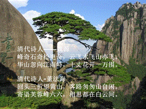 黄山奇松(第二课时).ppt