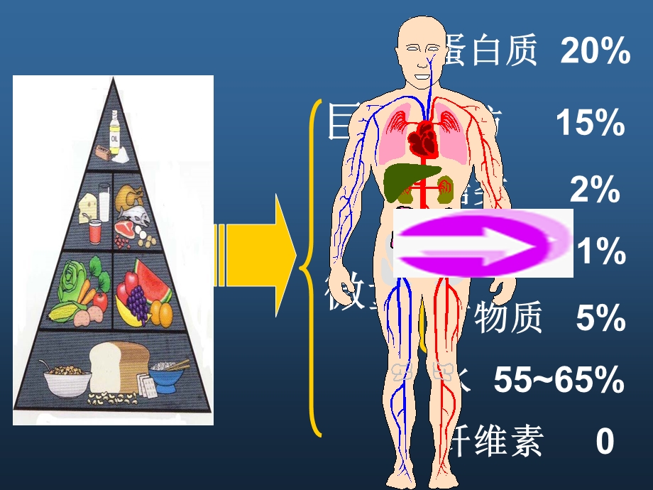 七大营养素营养.ppt_第2页