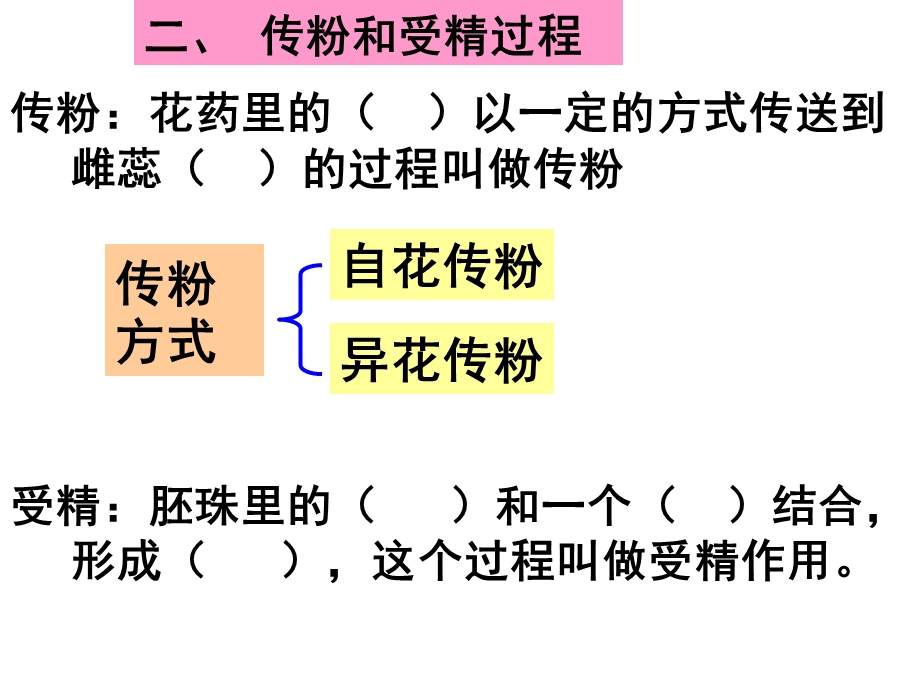 上生物重点复习.ppt_第3页