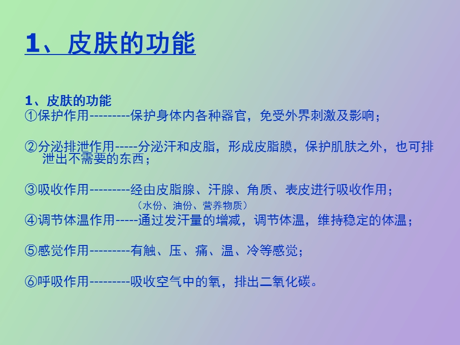 美容皮肤知识.ppt_第3页