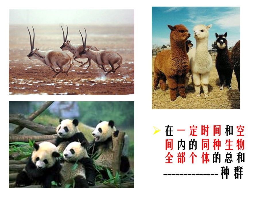 群落的结构精品课件.ppt_第2页