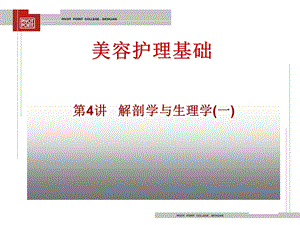 美容护理基础-解剖学与生理学PPT课件.ppt