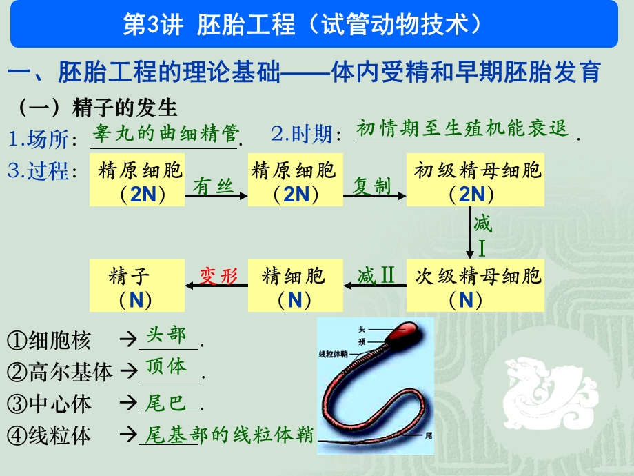 胚胎工程-张韶杰.ppt_第1页