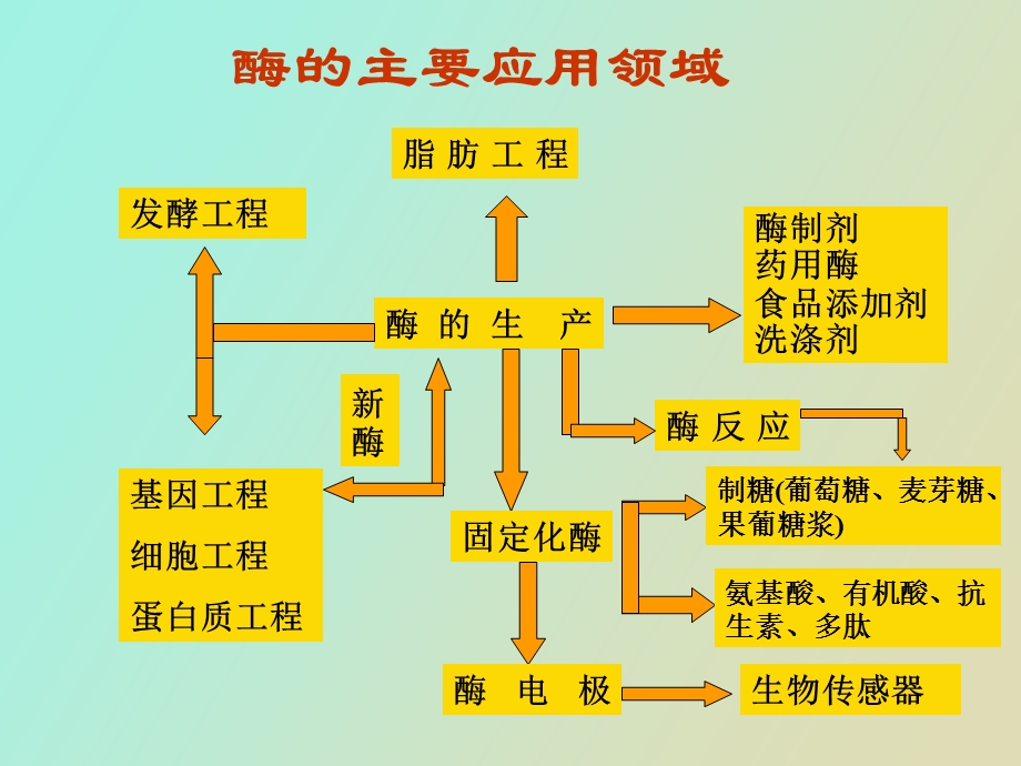 酶的工业应用.ppt_第3页