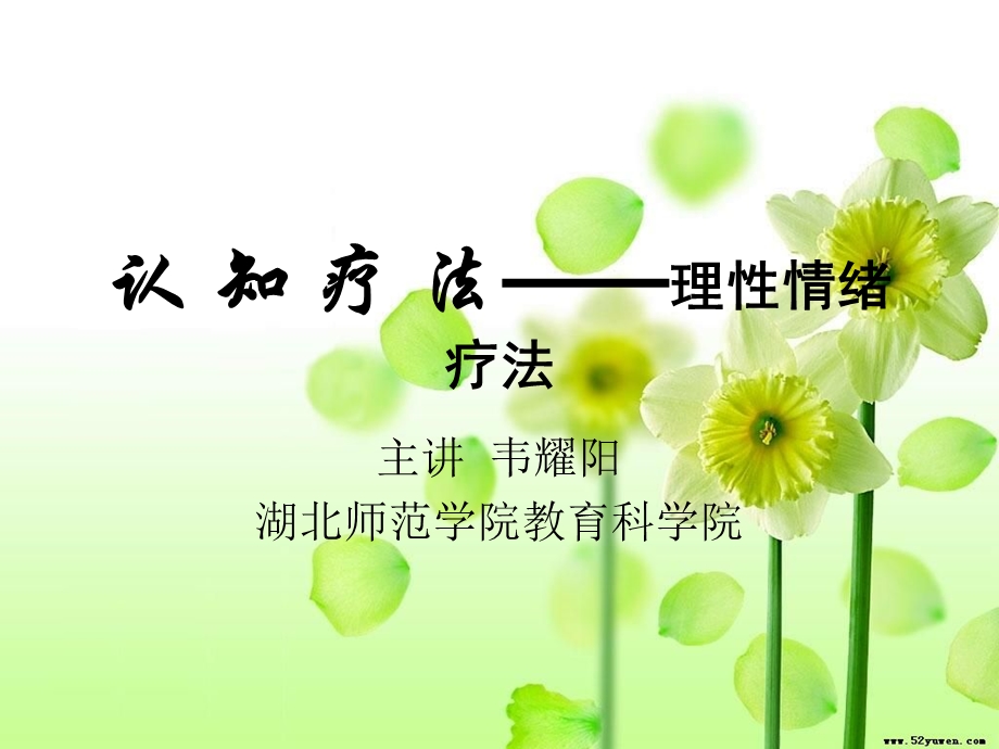 认知疗法-理性情绪疗法.ppt_第1页