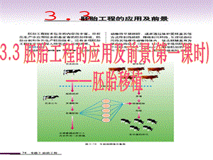 胚胎工程的应用及前景之胚胎移植公开课.ppt