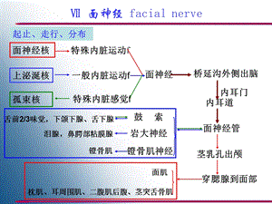 脑神经Ⅶ-Ⅻ、内脏神经.ppt