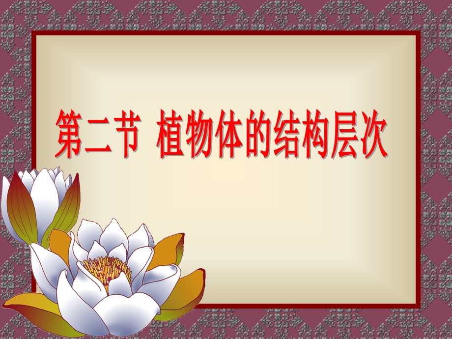 《植物体的结构层次PPT课件》.ppt_第1页