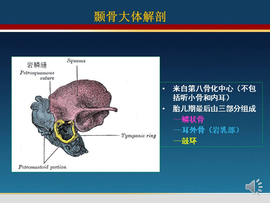 颞骨翻译马国林整理中.ppt_第3页