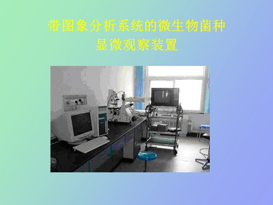 发酵菌种选育.ppt_第2页